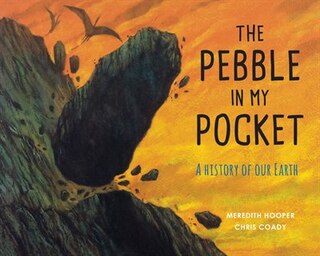 Front cover_The Pebble in My Pocket