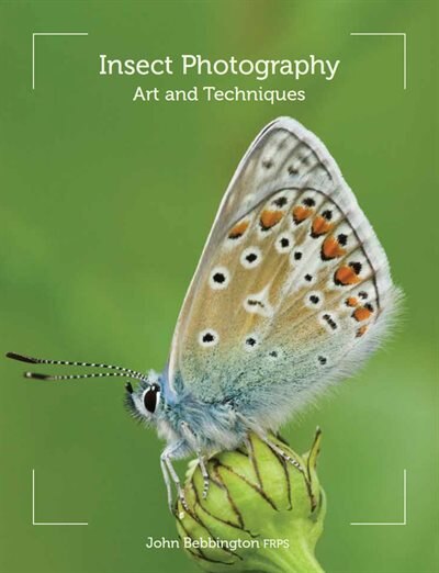 Couverture_Insect Photography