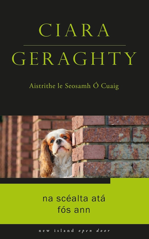 Front cover_Na Scealta Ata Fos Ann