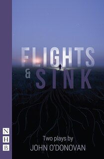 Couverture_Flights And Sink
