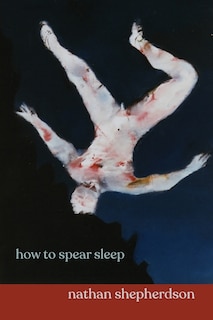 Couverture_How To Spear Sleep