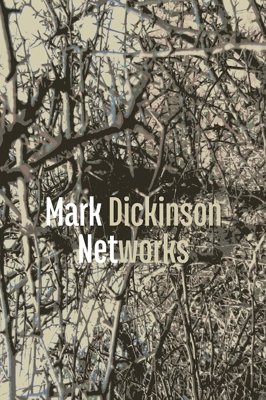 Couverture_Networks