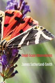 Couverture_Small-Scale Observations