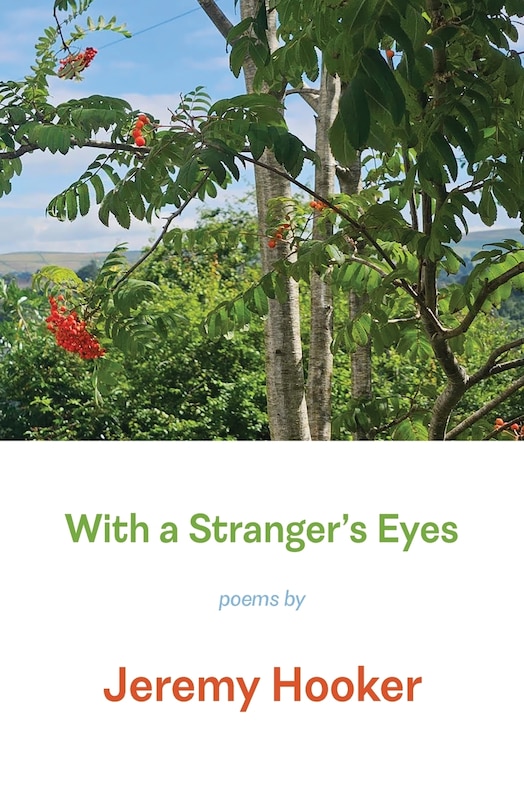 Front cover_With a Stranger's Eyes