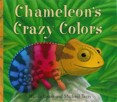 CHAMELEONS CRAZY COLOURS