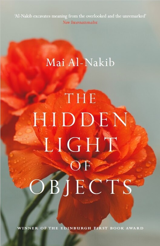 Couverture_The Hidden Light of Objects
