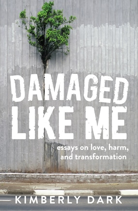 Damaged Like Me: Essays On Love, Harm, And Transformation