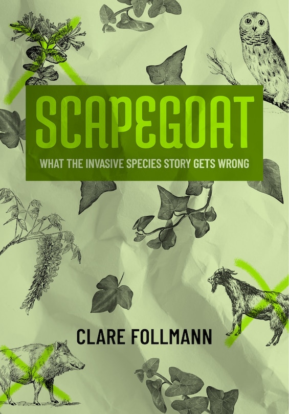 Front cover_Scapegoat