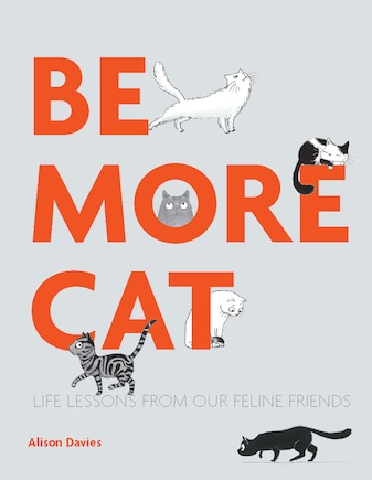 Be More Cat: Life Lessons From Our Feline Friends