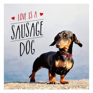 Couverture_Love Is A Sausage Dog