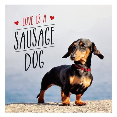 Couverture_Love Is A Sausage Dog