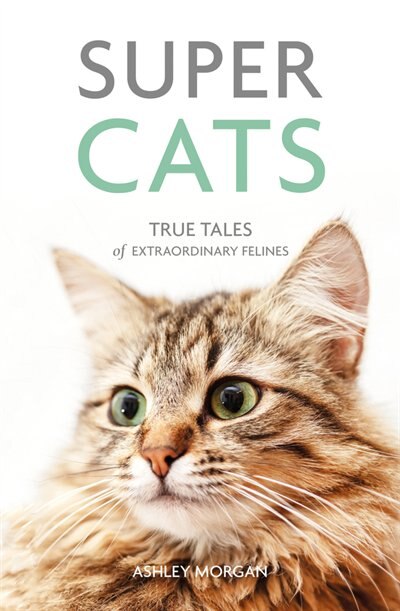 Front cover_Super Cats