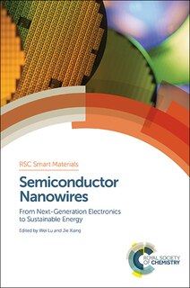 Semiconductor Nanowires: From Next-generation Electronics To Sustainable Energy
