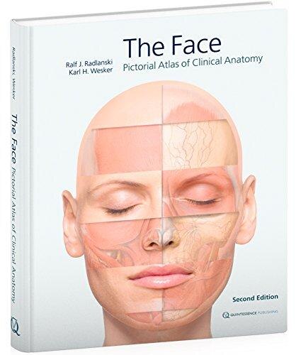 Front cover_The Face