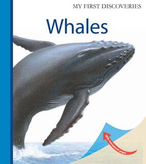 Front cover_Whales