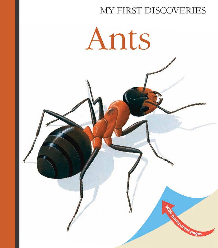 Front cover_Ants