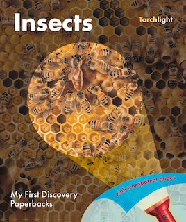 Front cover_Insects