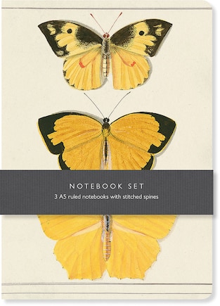 Butterfly Notebook Set: 3 A5 Ruled Notebooks With Stitched Spines