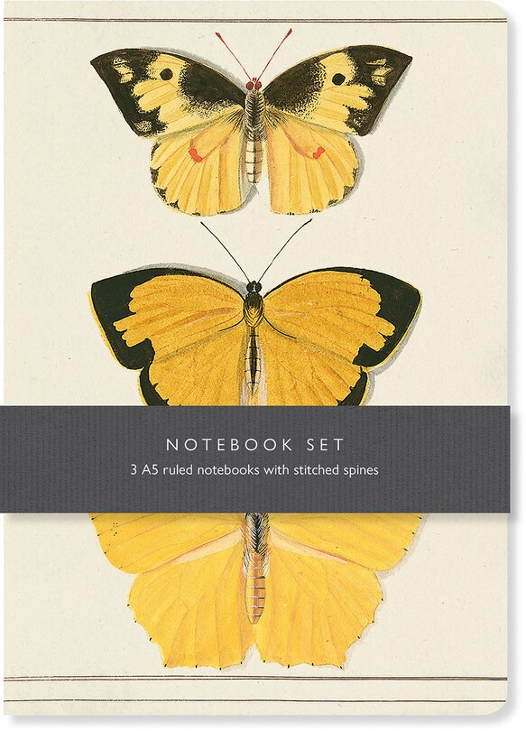 Front cover_Butterfly Notebook Set