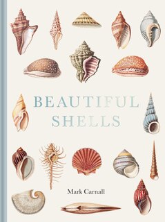 Front cover_Beautiful Shells