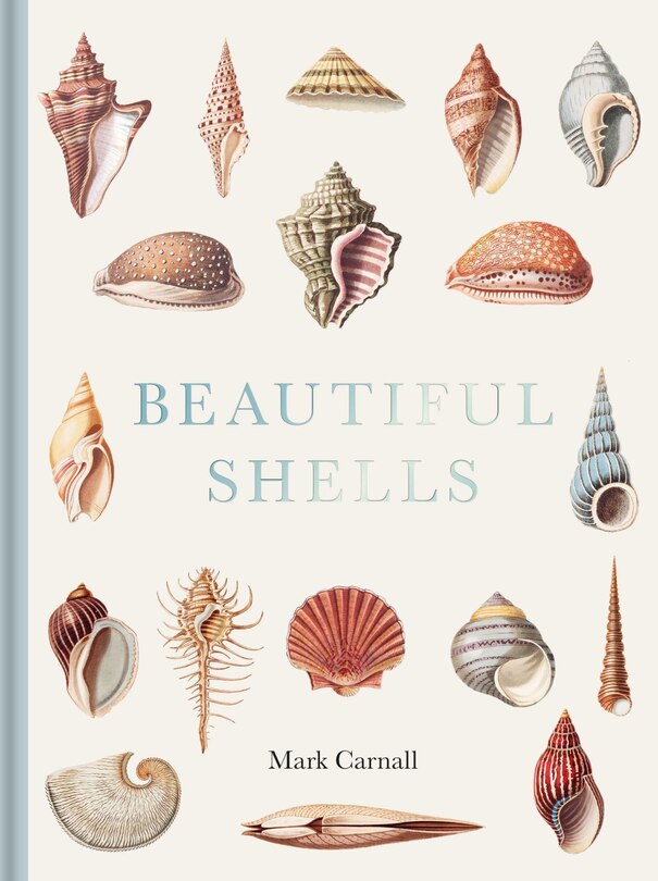 Front cover_Beautiful Shells
