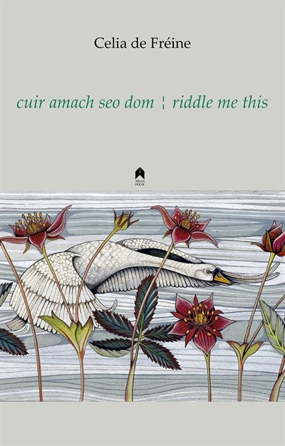 Couverture_riddle me this / cuir amach seo dom