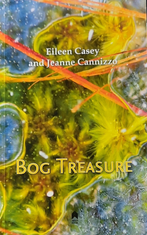 Couverture_Bog Treasure