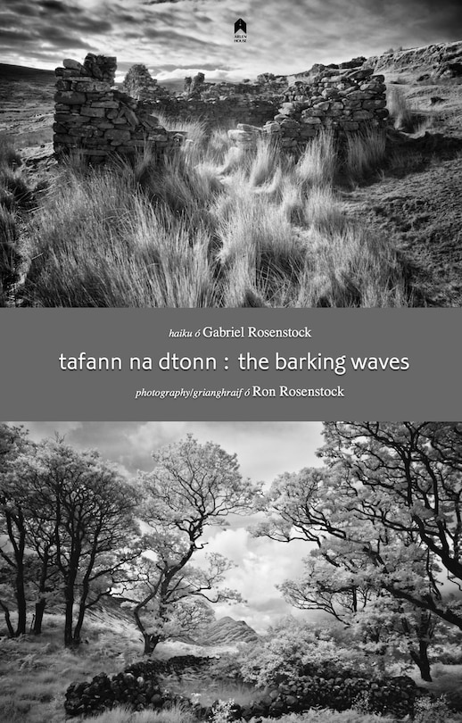 Front cover_The Barking Waves / Tafann na dTonn