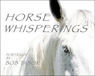 Couverture_Horse Whisperings