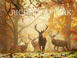 Richmond Park by John Karter