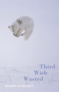 Couverture_Third Wish Wasted