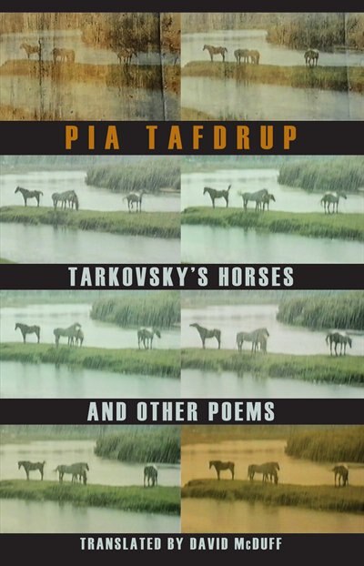 Front cover_Tarkovsky's Horses And Other Poems