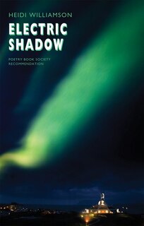 Front cover_Electric Shadow