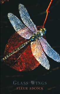 Front cover_Glass Wings