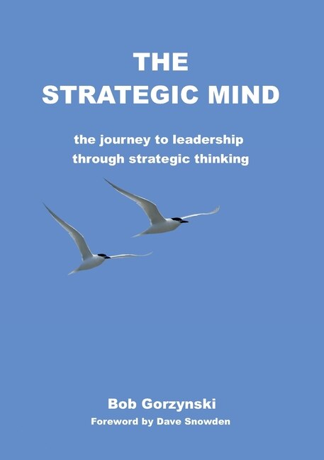 Front cover_The Strategic Mind