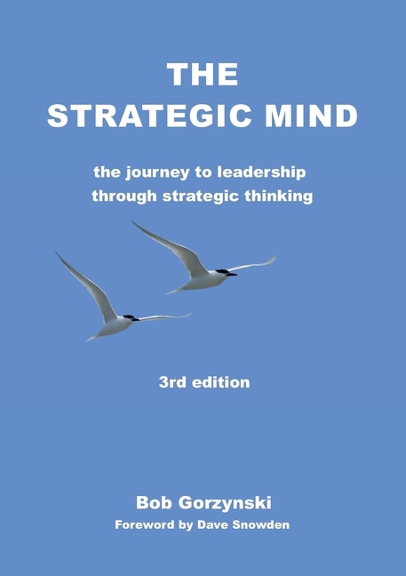 Front cover_The Strategic Mind