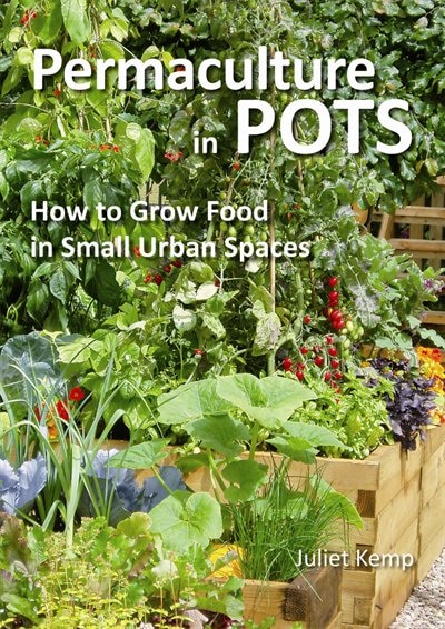 Permaculture in Pots: How to Grow Food in Small Urban Spaces