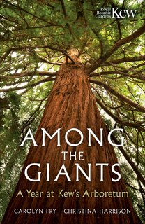 Couverture_Among the Giants