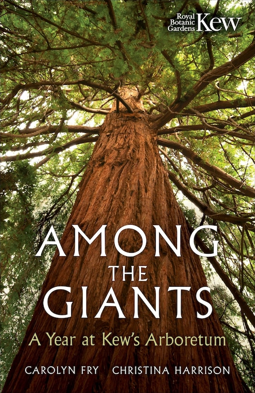 Couverture_Among the Giants