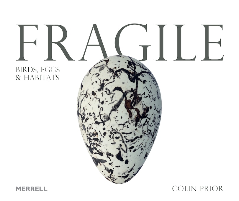 Front cover_Fragile: Birds, Eggs And Habitats