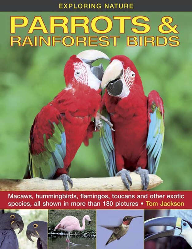 Couverture_Exploring Nature: Parrots & Rainforest Birds