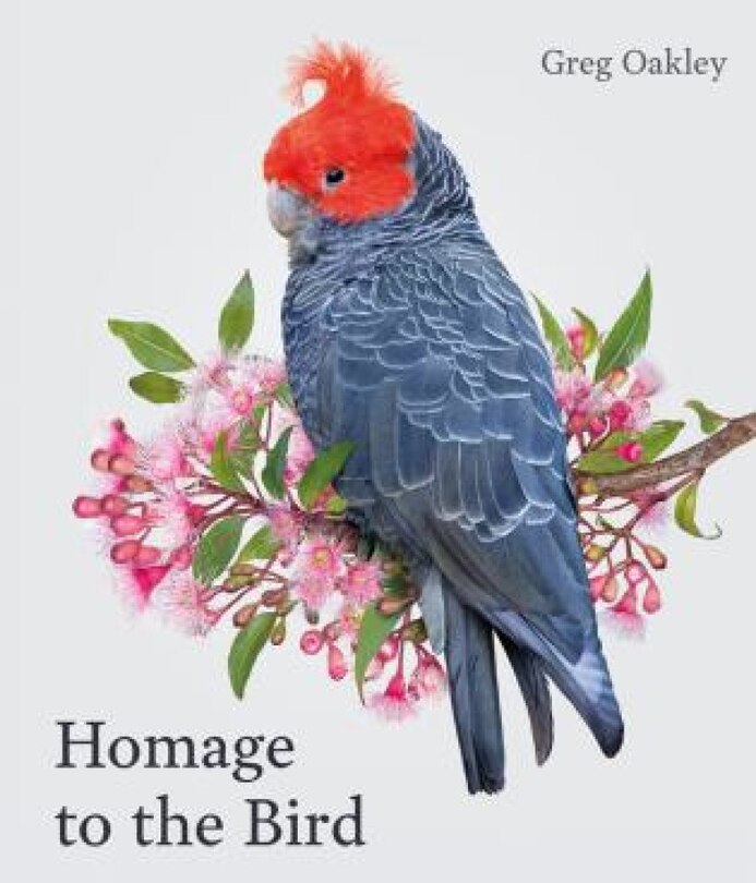 Front cover_Homage to the Bird