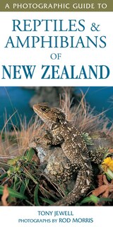 Front cover_A Photographic Guide To Reptiles & Amphibians Of New Zealand