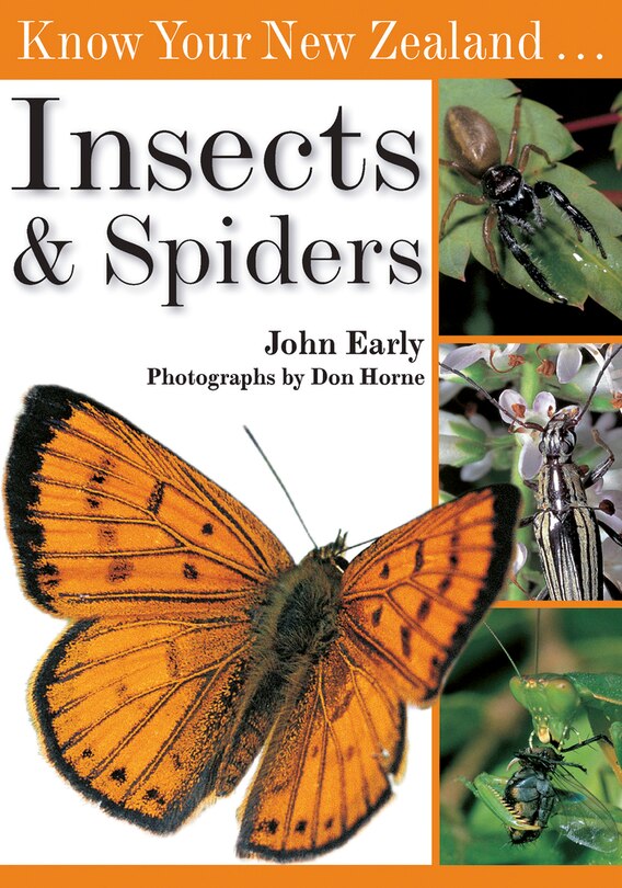 Couverture_Know Your New Zealand Insects & Spiders