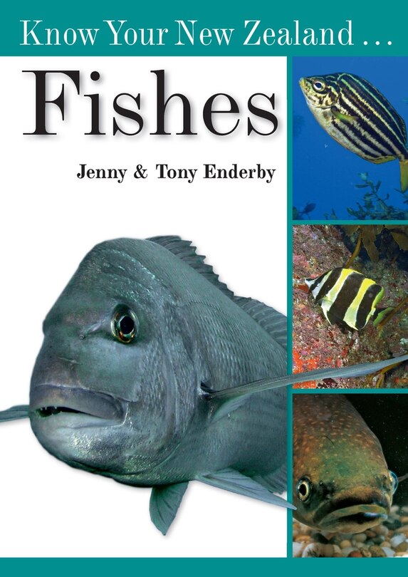 Couverture_Know Your New Zealand Fishes