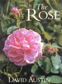 The Rose: For Your Garden