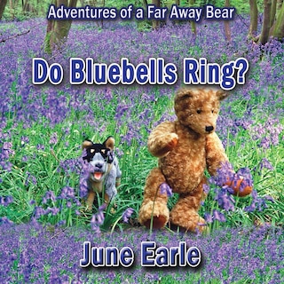 Couverture_Adventures of a Far Away Bear