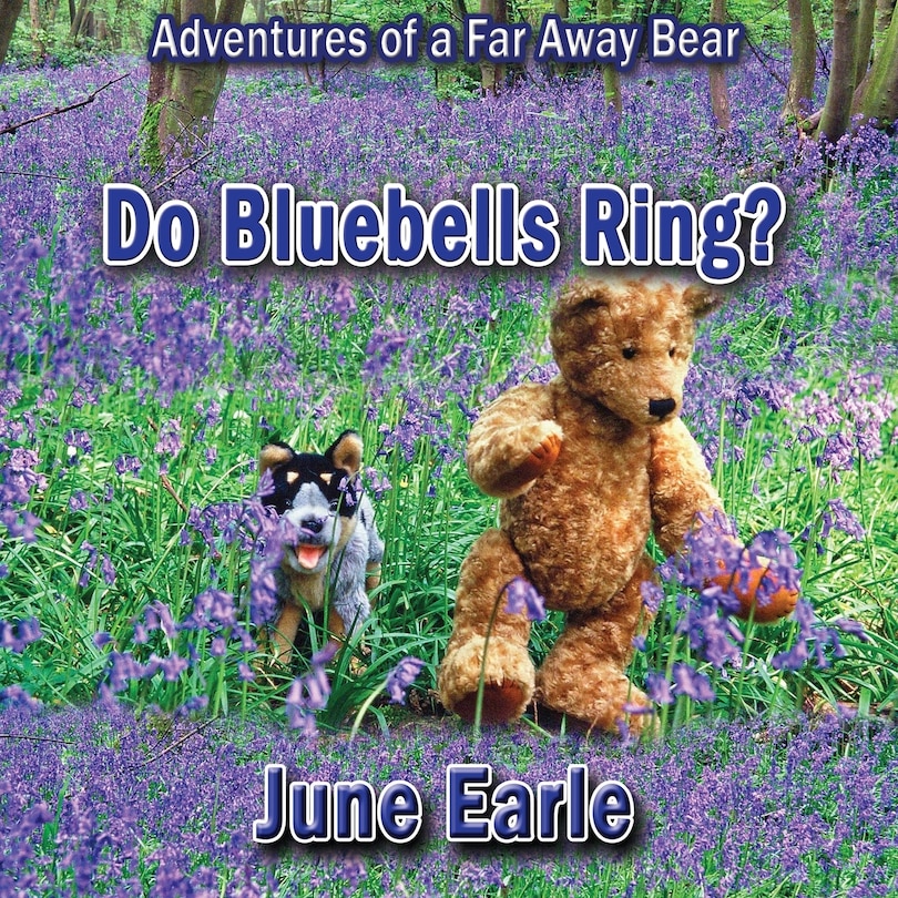 Couverture_Adventures of a Far Away Bear