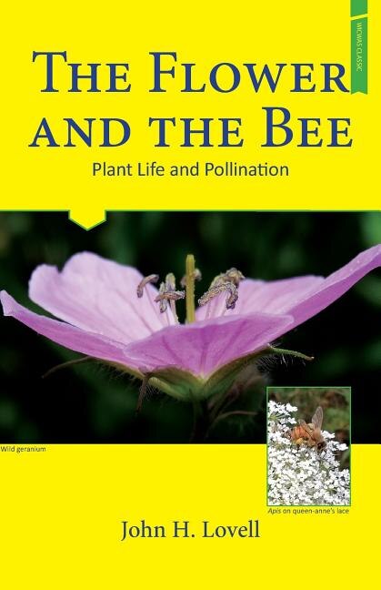 Front cover_The Flower and the Bee