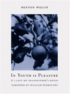 Front cover_In Youth Is Pleasure